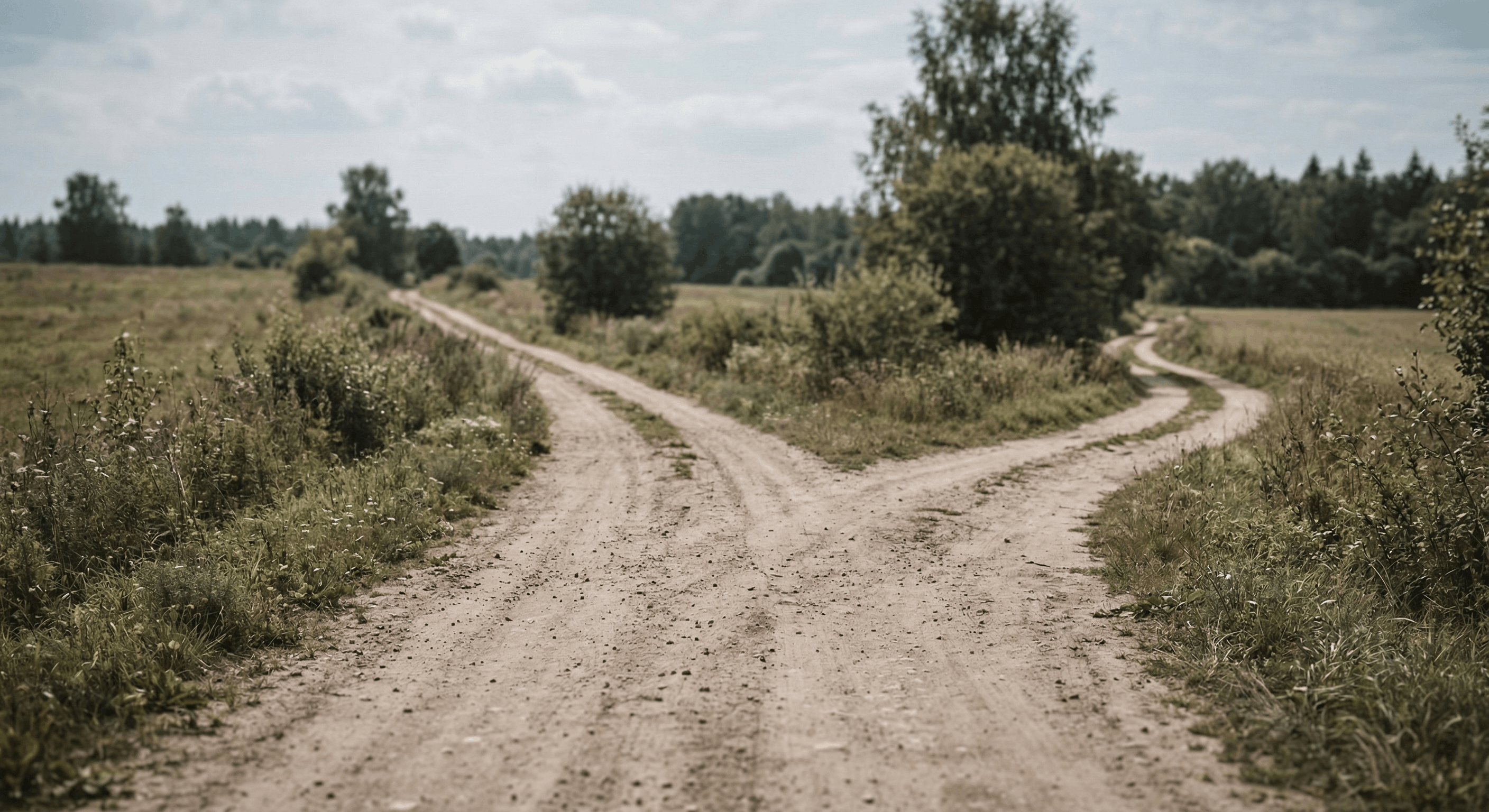 Illustration de l'article : L'IA, les juniors et moi. Et si j'étais juste un vieux con ?